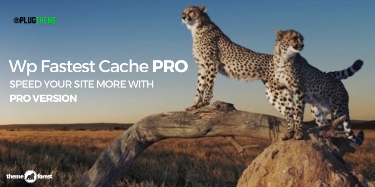 WP Fastest Cache Premium